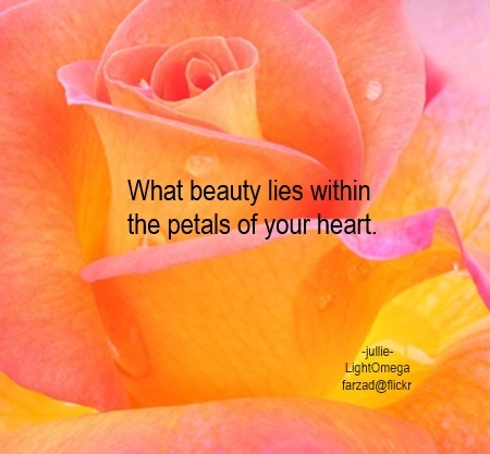 Petals of your heart-450x417.jpg